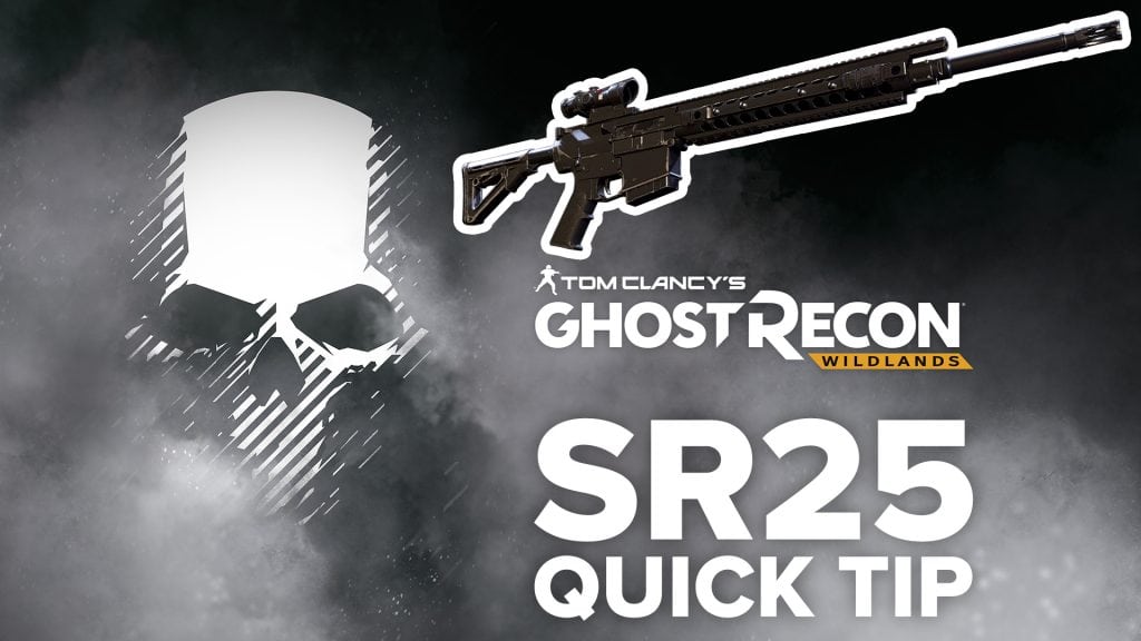 SR25 quick tip